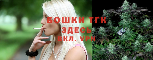 сатива Абинск
