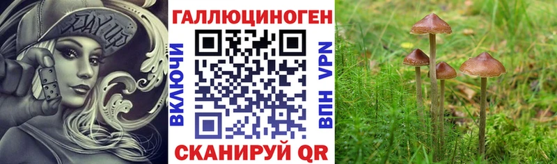 Псилоцибиновые грибы Psilocybine cubensis Александров