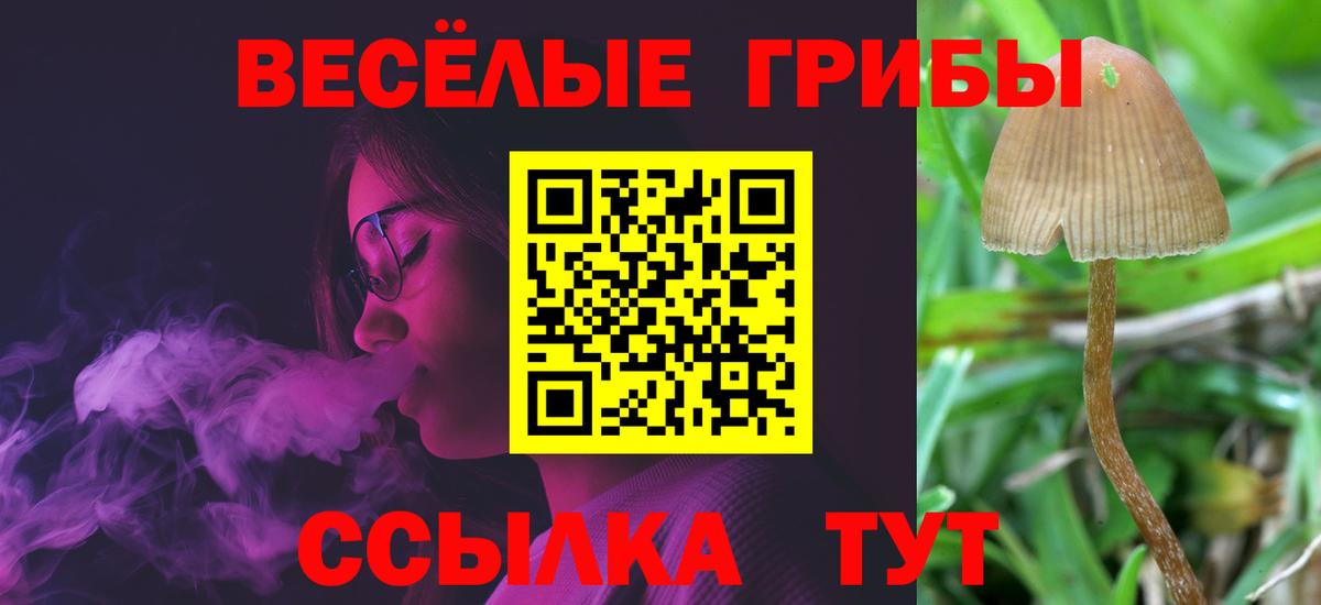 Галлюциногенные грибы Psilocybine cubensis Александров