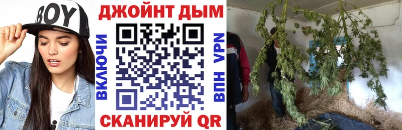 цена наркотик Александров Каннабис индика